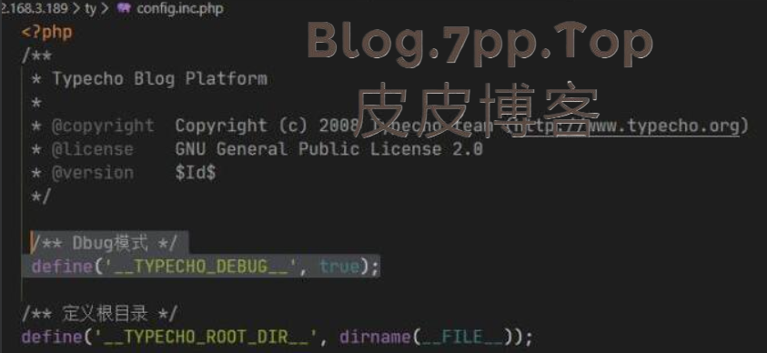 Typecho 开启debug调试模式-皮皮博客