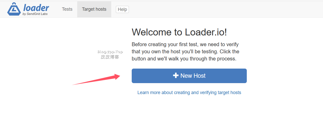 loader免费网站压力测试-皮皮博客