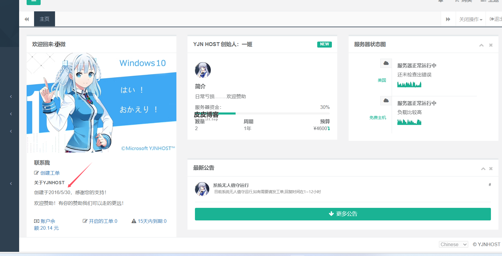 我的青春 YJNHOST-皮皮博客